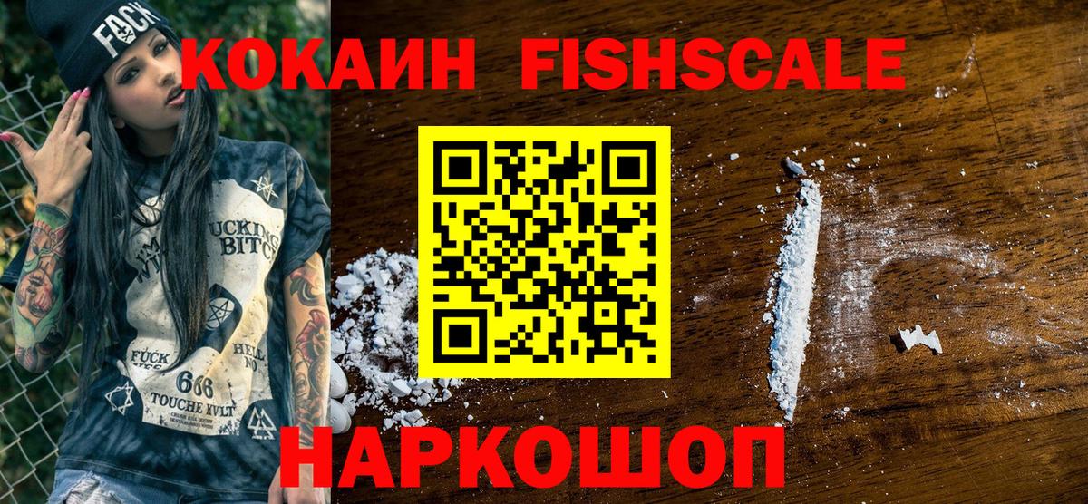 КОКАИН Fish Scale  Вход с VPN  Элиста 