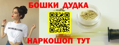 сатива Кингисепп