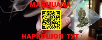сатива Кингисепп