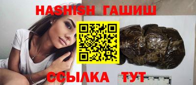 сатива Кингисепп