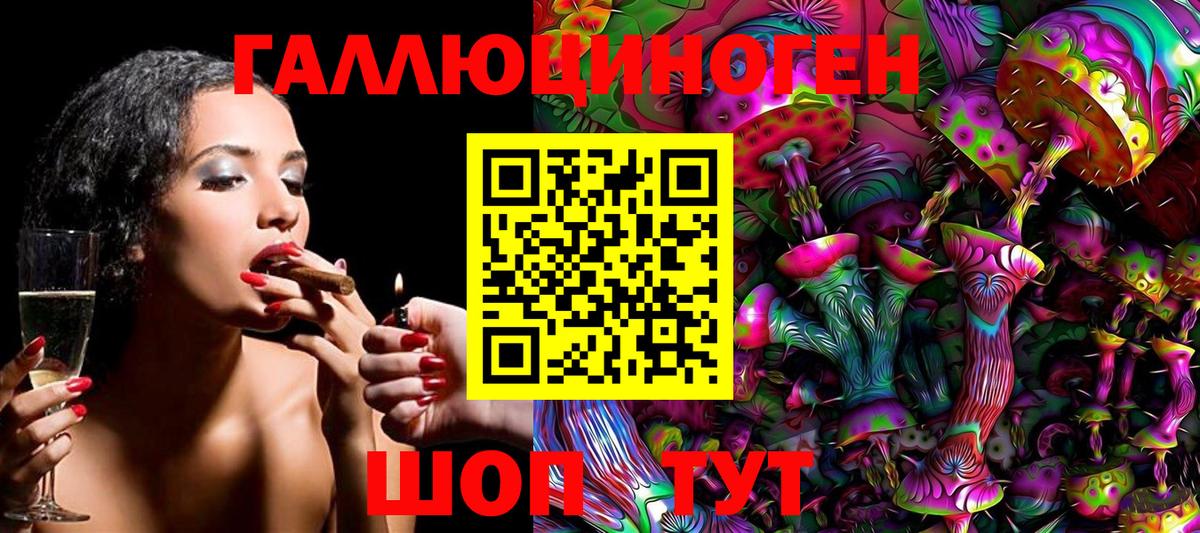Элиста  Галлюциногенные грибы Magic Shrooms  Вход с VPN 